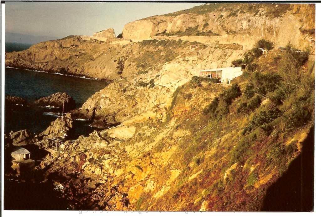 ORAN CORNICHE ROCHER DE LA VIEILLE ET SES VIVIERS 1962.JPG